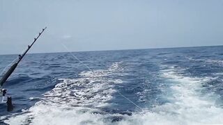 Gran Canaria — марлин взял на поверхности, как повторить поклевку?