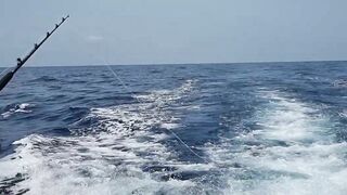 Gran Canaria — марлин взял на поверхности, как повторить поклевку?