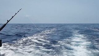 Gran Canaria — марлин взял на поверхности, как повторить поклевку?