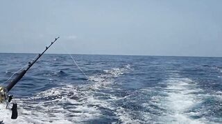 Gran Canaria — марлин взял на поверхности, как повторить поклевку?