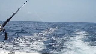 Gran Canaria — марлин взял на поверхности, как повторить поклевку?