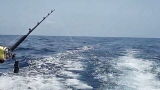 Gran Canaria — марлин взял на поверхности, как повторить поклевку?