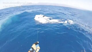 Gran Canaria: спортфишинг на марлина, что предлагают туры