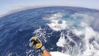 Gran Canaria: спортфишинг на марлина, что предлагают туры