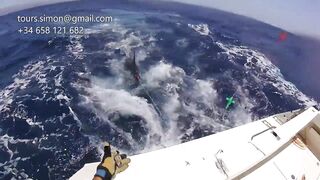 Gran Canaria: спортфишинг на марлина, что предлагают туры