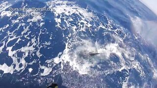 Gran Canaria: спортфишинг на марлина, что предлагают туры