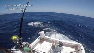 Gran Canaria: спортфишинг на марлина, что предлагают туры