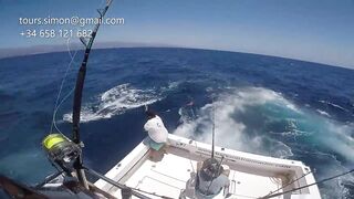 Gran Canaria: спортфишинг на марлина, что предлагают туры