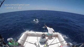 Gran Canaria: спортфишинг на марлина, что предлагают туры