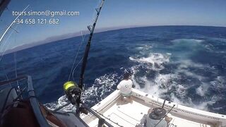 Gran Canaria: спортфишинг на марлина, что предлагают туры