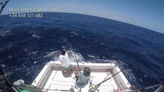 Gran Canaria: спортфишинг на марлина, что предлагают туры