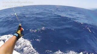 Gran Canaria: спортфишинг на марлина, что предлагают туры