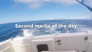 Gran Canaria, blue marlin: 400 lbs трофей и как повторить