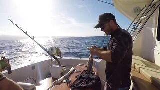 Gran Canaria, blue marlin: 400 lbs трофей и как повторить