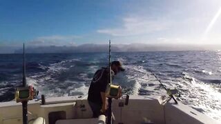 Gran Canaria, blue marlin: 400 lbs трофей и как повторить