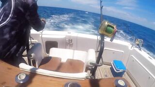 Gran Canaria, blue marlin: 400 lbs трофей и как повторить