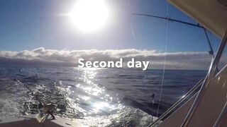 Gran Canaria, blue marlin: 400 lbs трофей и как повторить