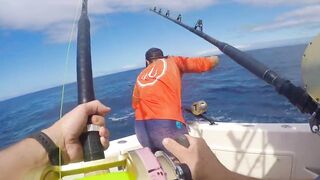 Gran Canaria, blue marlin: 400 lbs трофей и как повторить
