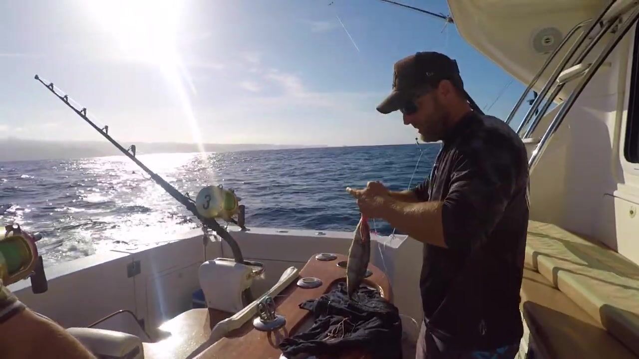 Второй день у Могана и blue marlin 400 lbs - рыбалка на Канарах