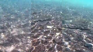 Lanzarote - seabass у каменных плато: береговая рыбалка на закате