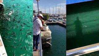 Puerto Calero, Lanzarote: рыба у марины и пирсов