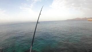 Lanzarote, Part 3 - береговой лурфишинг для новичка