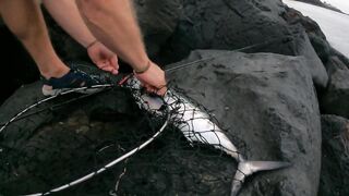 Lanzarote, Part 3 - береговой лурфишинг для новичка