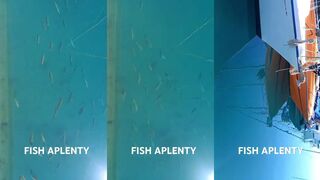 Lanzarote — рыбы полно! Морская рыбалка у лавовых плато и свалов