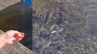 La Gomera: красивые рыбы у берега и что можно поймать