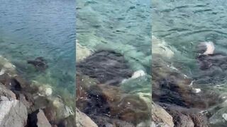 La Gomera — скат на бермуде: выпуск, как сохранить снасть и клев