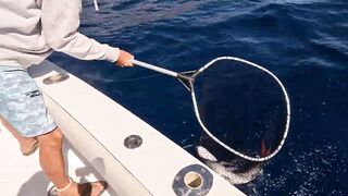 La Gomera: морская рыбалка на тунеца и вааху с Уэйном — гид и тактика