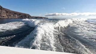 La Gomera: морская рыбалка на тунеца и вааху с Уэйном — гид и тактика