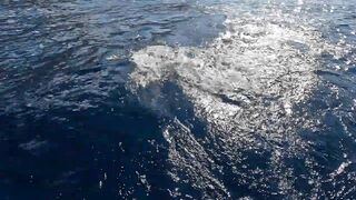 La Gomera, Spain — game fishing: марлин или вааху по свалу?