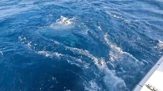 La Gomera, Spain — game fishing: марлин или вааху по свалу?