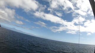 La Gomera - гигантский тунец со скал, стоит ли рисковать?