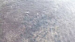 La Gomera — монстр с берега: морская рыбалка на лавовых полках