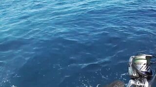 La Gomera — монстр с берега: морская рыбалка на лавовых полках