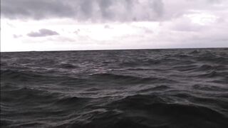 La Palma: туна в сезон, выход с чартером из марины