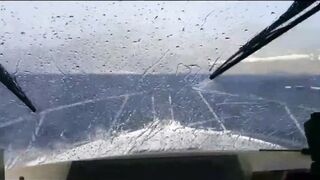 La Palma: туна в сезон, выход с чартером из марины