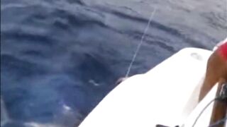 La Palma: туна в сезон, выход с чартером из марины