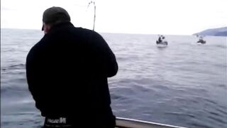 La Palma: туна в сезон, выход с чартером из марины