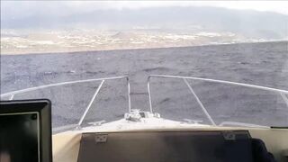 La Palma: туна в сезон, выход с чартером из марины