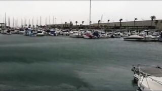 La Palma: туна в сезон, выход с чартером из марины