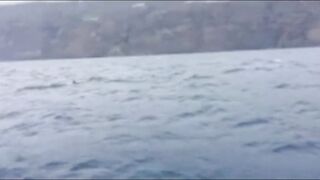 La Palma: туна в сезон, выход с чартером из марины