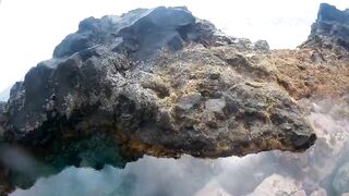 La Palma: спиннинг и тропическая рыба на лавовых плитах