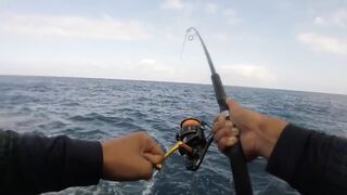 La Palma spinning: medregal 16 кг, рельеф и приманки