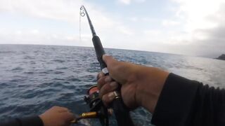 La Palma spinning: medregal 16 кг, рельеф и приманки