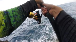 La Palma spinning: medregal 16 кг, рельеф и приманки