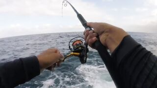 La Palma spinning: medregal 16 кг, рельеф и приманки