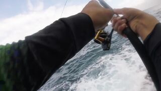 La Palma spinning: medregal 16 кг, рельеф и приманки